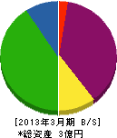 中野製作所 貸借対照表 2013年3月期