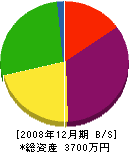 山崎塗装工業所 貸借対照表 2008年12月期