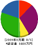 柿崎重機興業 貸借対照表 2009年8月期
