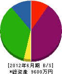 鶴若防災 貸借対照表 2012年6月期