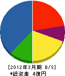 片山組 貸借対照表 2012年3月期