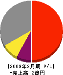 松永電機 損益計算書 2009年3月期
