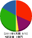 田中鑿泉重工 貸借対照表 2011年6月期