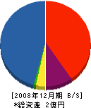 沖縄都来産業 貸借対照表 2008年12月期