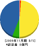 斎藤建設 貸借対照表 2009年11月期