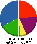 石塚工業 貸借対照表 2009年5月期
