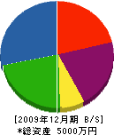 稲吉建設 貸借対照表 2009年12月期