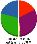 斎藤畳内装 貸借対照表 2008年12月期