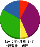 菅家電機 貸借対照表 2012年8月期