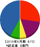中島組 貸借対照表 2010年6月期