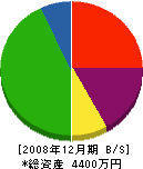 伊澤土建 貸借対照表 2008年12月期