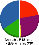 青光電気 貸借対照表 2012年9月期