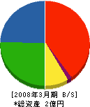 石渡靖一郎塗装店 貸借対照表 2008年3月期