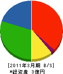 大牟田ガスリビング 貸借対照表 2011年3月期