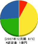 斉藤組興業 貸借対照表 2007年12月期