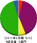 丸武工業 貸借対照表 2011年6月期