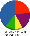 田村建設 貸借対照表 2012年3月期