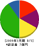 志田建設 貸借対照表 2009年3月期