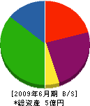 吉川工業 貸借対照表 2009年6月期