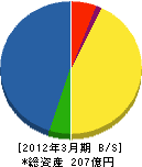中電興業 貸借対照表 2012年3月期