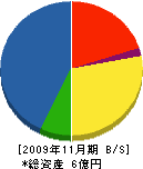 中本建設 貸借対照表 2009年11月期