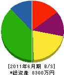 シムラ 貸借対照表 2011年6月期