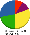 丸昭清美社 貸借対照表 2012年6月期