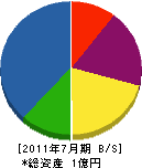 三榮企業 貸借対照表 2011年7月期