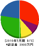 伊藤電機 貸借対照表 2010年5月期