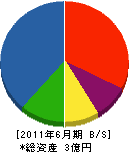 中塚工業 貸借対照表 2011年6月期