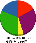 中村塗装店 貸借対照表 2008年12月期