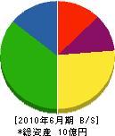 須藤開発興業 貸借対照表 2010年6月期