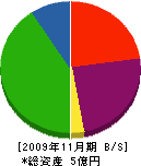 川村工業 貸借対照表 2009年11月期