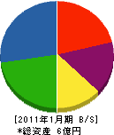 田村組 貸借対照表 2011年1月期