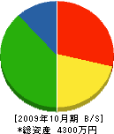 斉藤設備商会 貸借対照表 2009年10月期