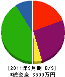 カネヨシ建設 貸借対照表 2011年9月期