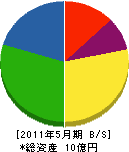 新潟施設 貸借対照表 2011年5月期