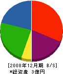 藤沢建設 貸借対照表 2008年12月期