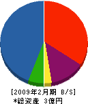 宇田建設 貸借対照表 2009年2月期