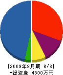 武蔵工業 貸借対照表 2009年8月期