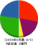 木村組 貸借対照表 2009年8月期