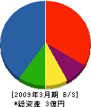 沖縄タカラ住設 貸借対照表 2009年3月期