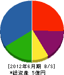 坂田園芸 貸借対照表 2012年6月期