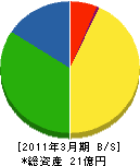 昭和化学工業 貸借対照表 2011年3月期