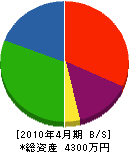 静岡環境サービス 貸借対照表 2010年4月期