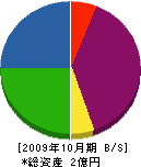 吉井組 貸借対照表 2009年10月期