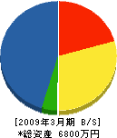 藤本組 貸借対照表 2009年3月期