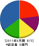 小島造園 貸借対照表 2011年6月期