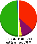 藤井クレーン工業 貸借対照表 2012年3月期
