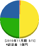 矢野建設 貸借対照表 2010年11月期